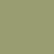 Fenomastic Pure Color Semigloss 0.9 Litres / April Green 8109 Paints
