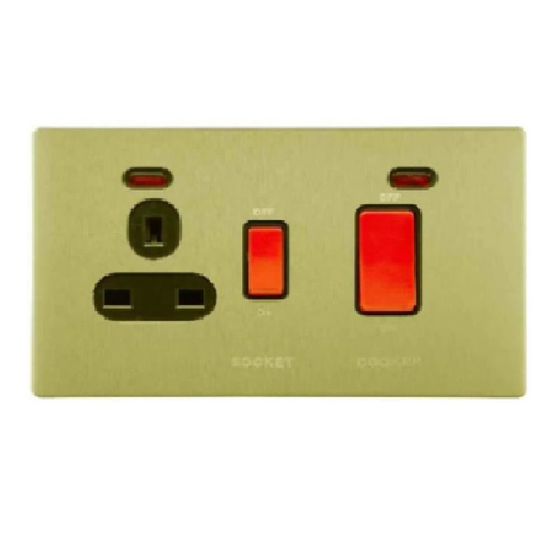 RR Vivan Metallic 45A DP Switch + 13A Socket
