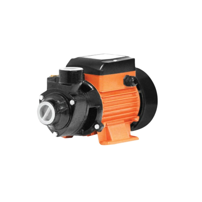 RR Water Pump | Peripheral Pump 