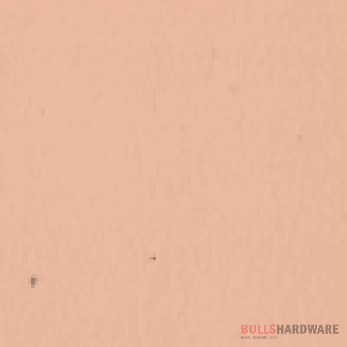 Bengalac Gloss 1L / Bare_Beige Paints