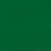 Bengalac Gloss 1L / Jungle_Green Paints