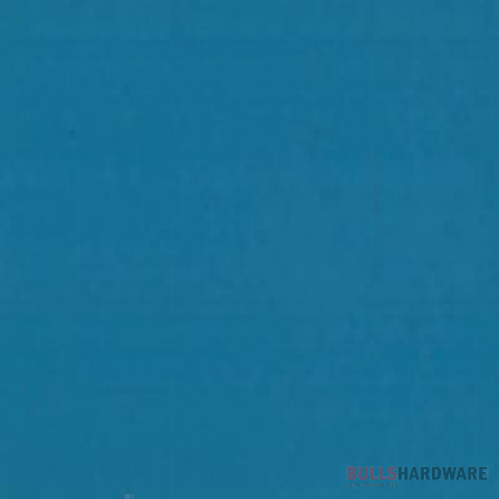 Bengalac Gloss 1L / Neel4904 Paints