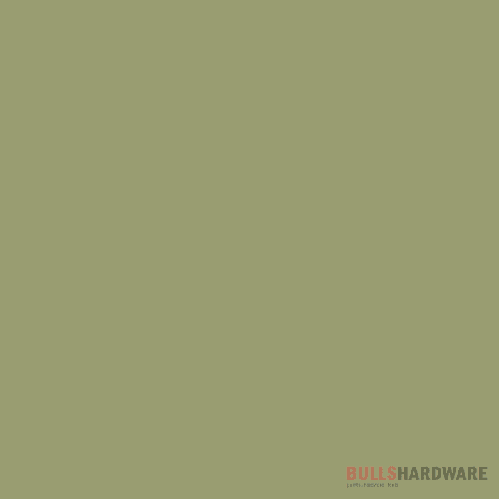 Fenomastic Wonderwall 0.9 Litres / April Green 8109 Paints