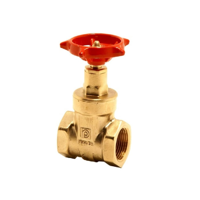 Gate Valve Pegler (1065)