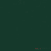 National Synthetic Enamel Gloss 1L / 578 Michel Green Paints