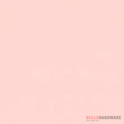 National Synthetic Enamel Gloss 1L / 880 Coral Pink Paints