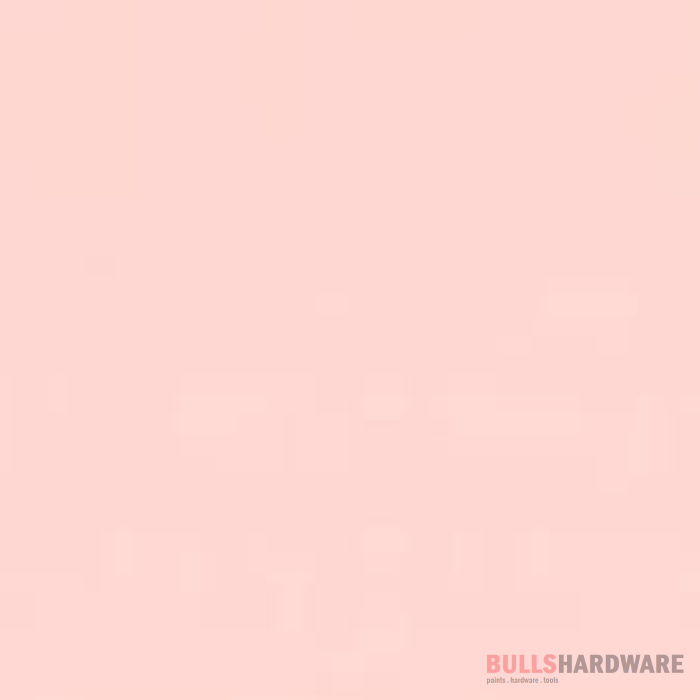 National Synthetic Enamel Gloss 1L / 880 Coral Pink Paints