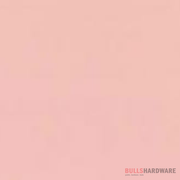 National Synthetic Enamel Gloss 1L / 888 Caprice Paints