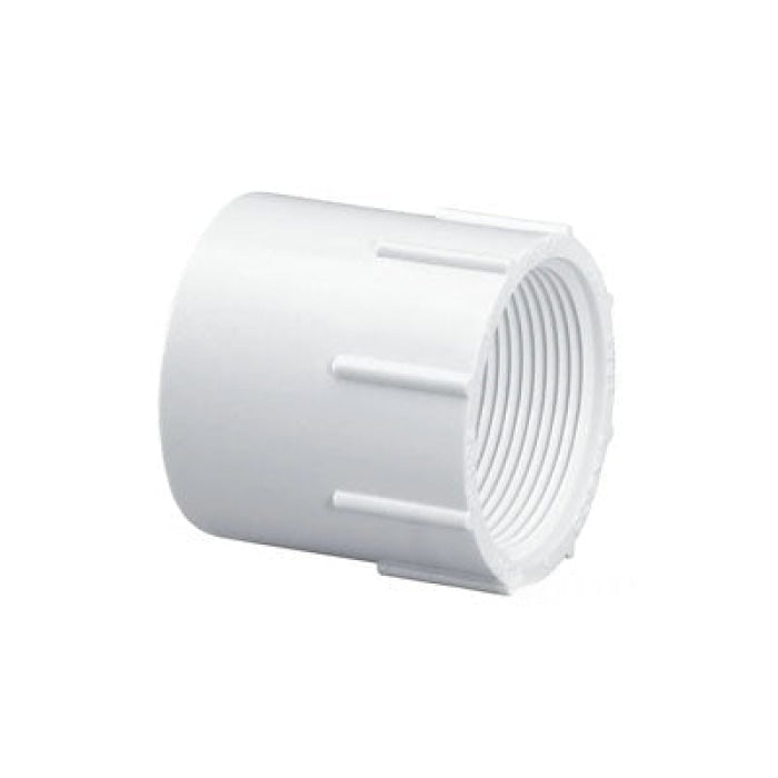 Pvc White Female Socket